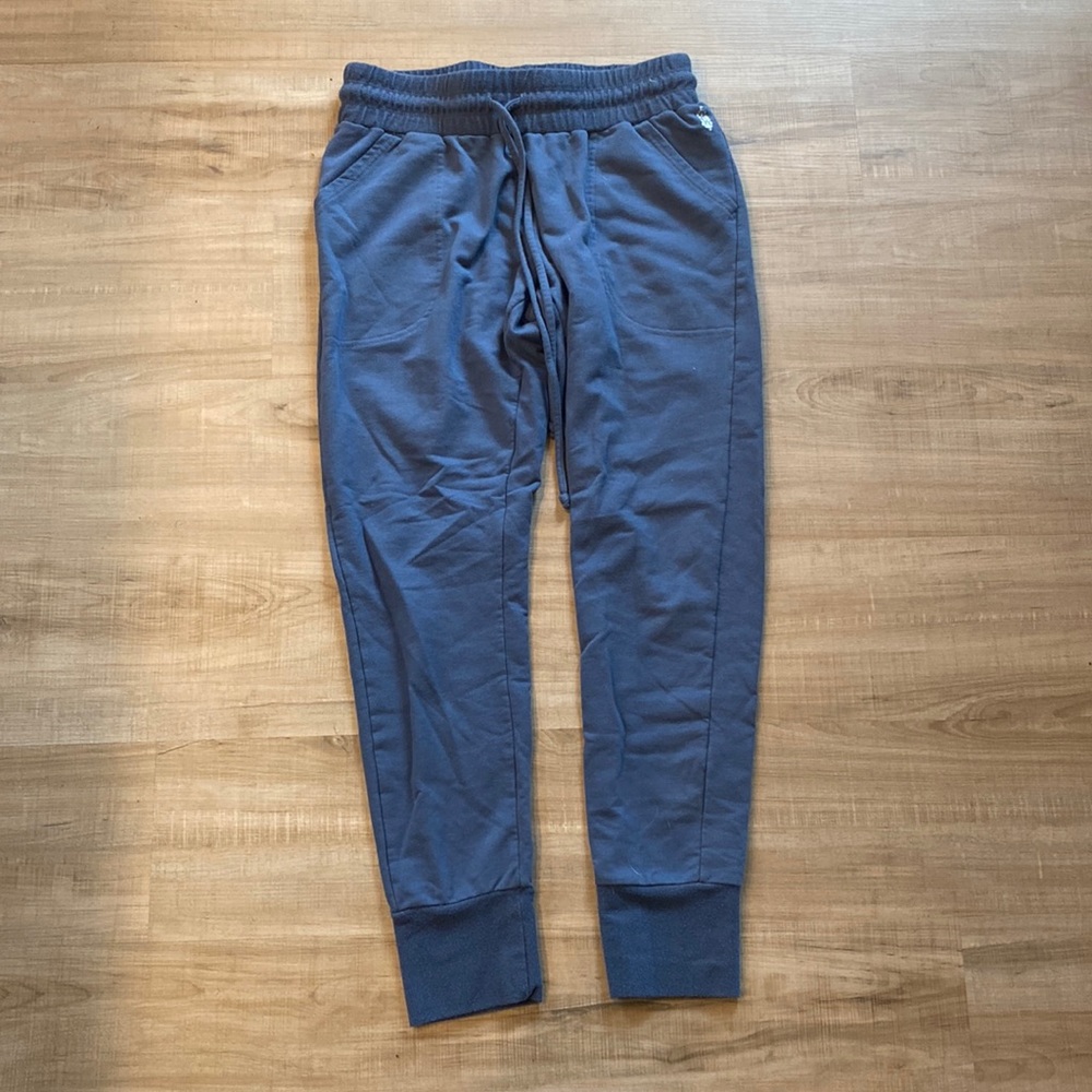 Free People FP Movement Womens Size Medium Jogger Sweatpants Sunny Skinny Blue